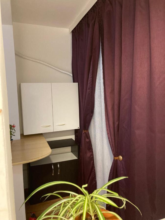Royal Studio National Arena - Free Parking 布加勒斯特 外观 照片